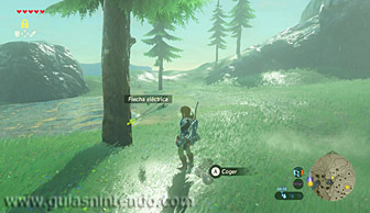 The Legend of Zelda: Breath of the Wild