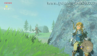 The Legend of Zelda: Breath of the Wild