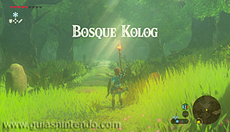The Legend of Zelda: Breath of the Wild