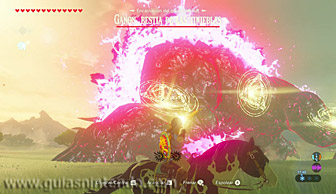 The Legend of Zelda: Breath of the Wild