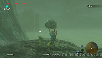 The Legend of Zelda: Breath of the Wild