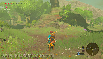 The Legend of Zelda: Breath of the Wild