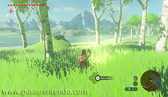 The Legend of Zelda: Breath of the Wild