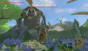 The Legend of Zelda: Breath of the Wild