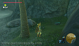 The Legend of Zelda: Breath of the Wild
