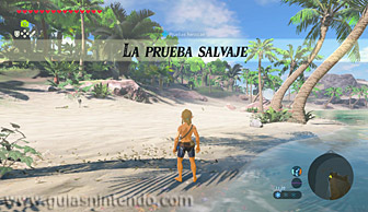The Legend of Zelda: Breath of the Wild