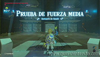The Legend of Zelda: Breath of the Wild