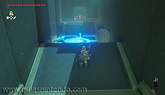 The Legend of Zelda: Breath of the Wild