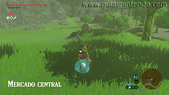 The Legend of Zelda: Breath of the Wild