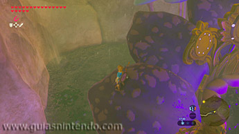 The Legend of Zelda: Breath of the Wild