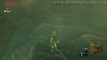 The Legend of Zelda: Breath of the Wild