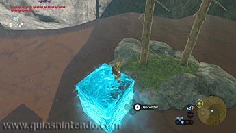 The Legend of Zelda: Breath of the Wild