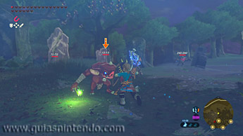 The Legend of Zelda: Breath of the Wild