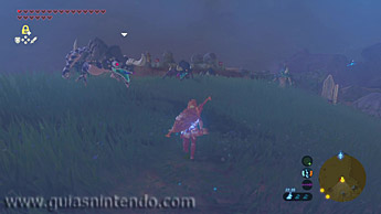 The Legend of Zelda: Breath of the Wild