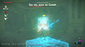 The Legend of Zelda: Breath of the Wild