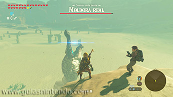 The Legend of Zelda: Breath of the Wild