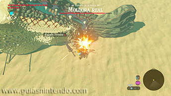 The Legend of Zelda: Breath of the Wild