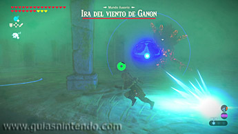 The Legend of Zelda: Breath of the Wild
