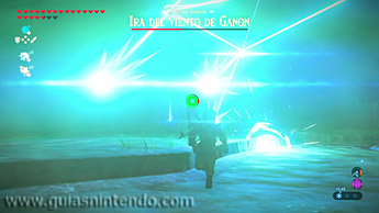The Legend of Zelda: Breath of the Wild