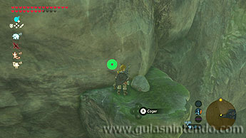 The Legend of Zelda: Breath of the Wild