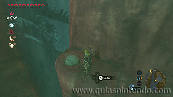 The Legend of Zelda: Breath of the Wild