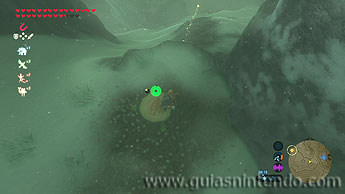The Legend of Zelda: Breath of the Wild
