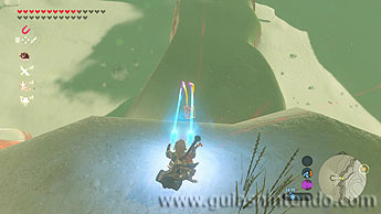 The Legend of Zelda: Breath of the Wild