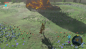 The Legend of Zelda: Breath of the Wild