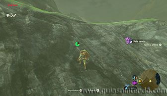 The Legend of Zelda: Breath of the Wild