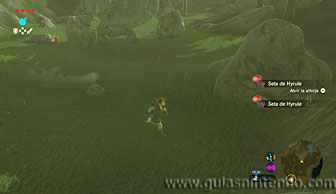 The Legend of Zelda: Breath of the Wild