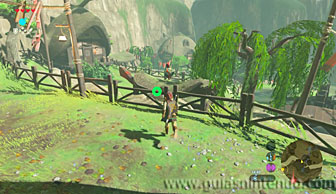The Legend of Zelda: Breath of the Wild