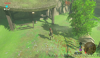 The Legend of Zelda: Breath of the Wild