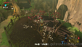 The Legend of Zelda: Breath of the Wild