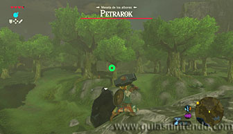 The Legend of Zelda: Breath of the Wild
