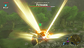 The Legend of Zelda: Breath of the Wild