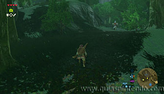 The Legend of Zelda: Breath of the Wild