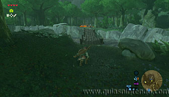 The Legend of Zelda: Breath of the Wild