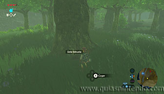 The Legend of Zelda: Breath of the Wild