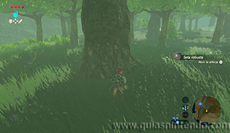 The Legend of Zelda: Breath of the Wild