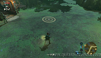 The Legend of Zelda: Breath of the Wild