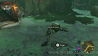 The Legend of Zelda: Breath of the Wild