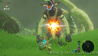 The Legend of Zelda: Breath of the Wild
