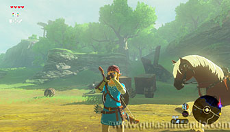 The Legend of Zelda: Breath of the Wild