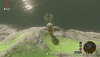The Legend of Zelda: Breath of the Wild