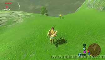 The Legend of Zelda: Breath of the Wild