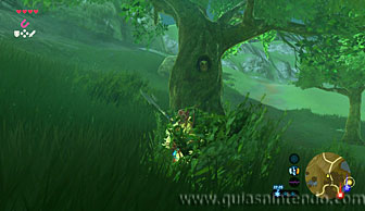The Legend of Zelda: Breath of the Wild