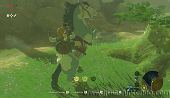 The Legend of Zelda: Breath of the Wild