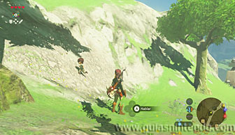 The Legend of Zelda: Breath of the Wild