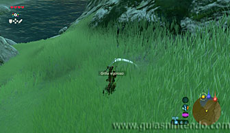 The Legend of Zelda: Breath of the Wild