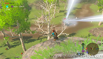 The Legend of Zelda: Breath of the Wild